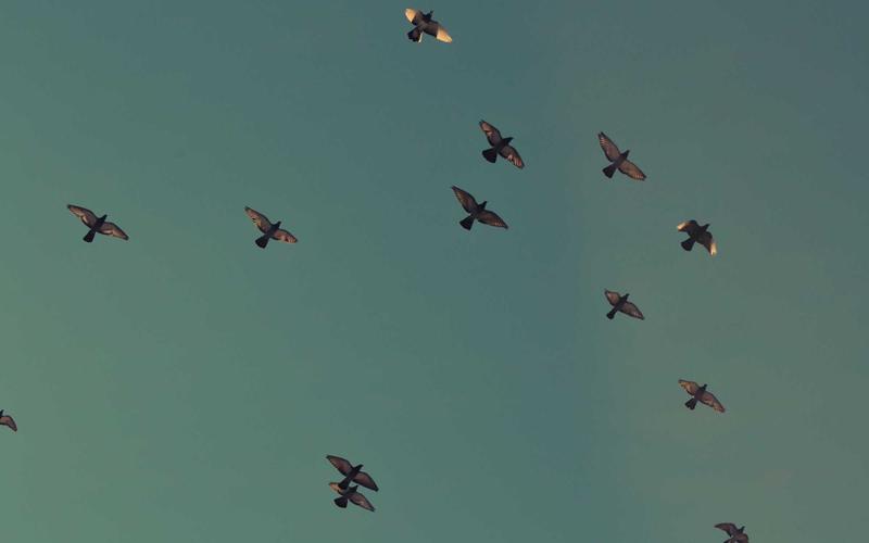 Cardano (ADA) em 2026: Governança On-Chain, Hydra e Potencial de Crescimento